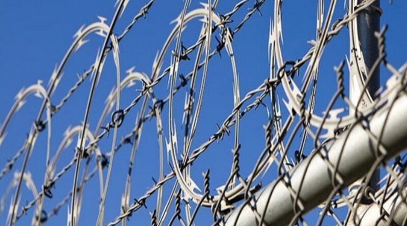 adana dikenli tel fiyatları, osmaniye dikenli tel fiyatları, hatay dikenli tel fiyatları, mersin dikenli tel fiyatları, niğde dikenli tel fiyatları, kayseri dikenli tel fiyatları, gaziantep dikenli tel fiyatları